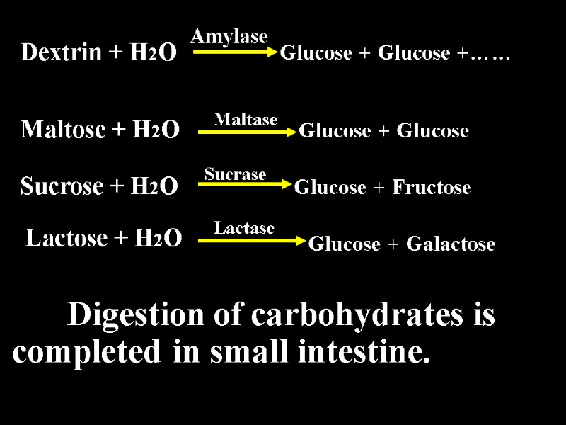 Digestion of carbohydrates is completed in small intestine.      Dextrin